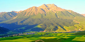 甘肅建投生態(tài)建設(shè)集團(tuán)有限公司隸屬于中國(guó)500強(qiáng)企業(yè)—甘肅省建設(shè)投資（控股）集團(tuán)有限公司，是甘肅建投貫徹落實(shí)“五位一體”總體布局和新發(fā)展理念，推進(jìn)生態(tài)治理板塊發(fā)展的新業(yè)態(tài)公司。
